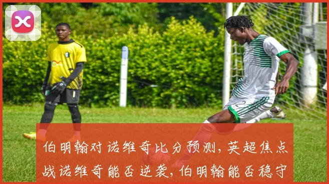 伯明翰对诺维奇比分预测,英超焦点战诺维奇能否逆袭,伯明翰能否稳守